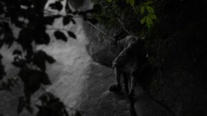 Stage Escalade Trad Fissure Annot Paroisdumonde