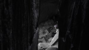 Stage Escalade Trad Fissure Annot Paroisdumonde